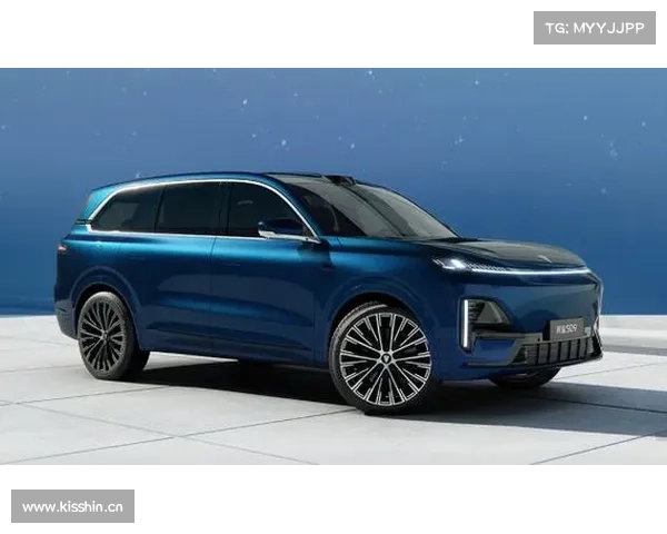 东南S09:全轮驱动、自动挡、7座大型家庭 SUV 东南S09:全轮驱动、自动挡、7座大型家庭 SUV
