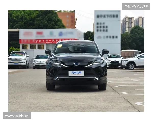 丰田新车“凌放”来了,高级感不输陆放,网友:又是加价的节奏 丰田新车“凌放”来了,高级感不输陆放,网友:又是加价的节奏
