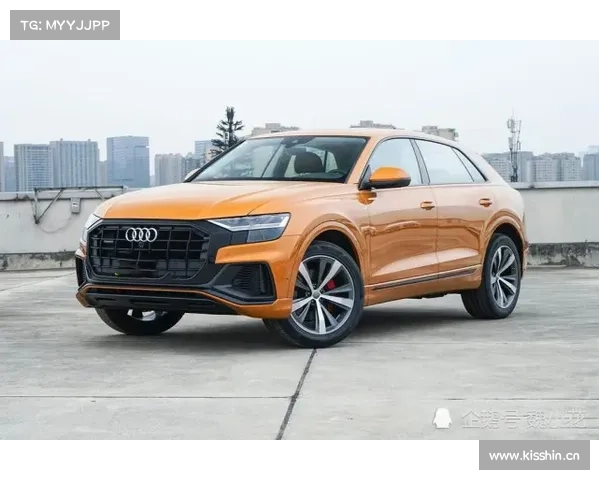 全新奥迪Q8上市 售价76.88-101.88万元 全新奥迪Q8上市 售价76.88-101.88万元